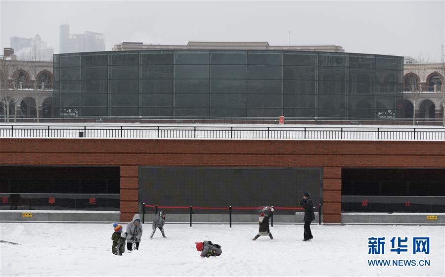 （環境）（1）雪落津城