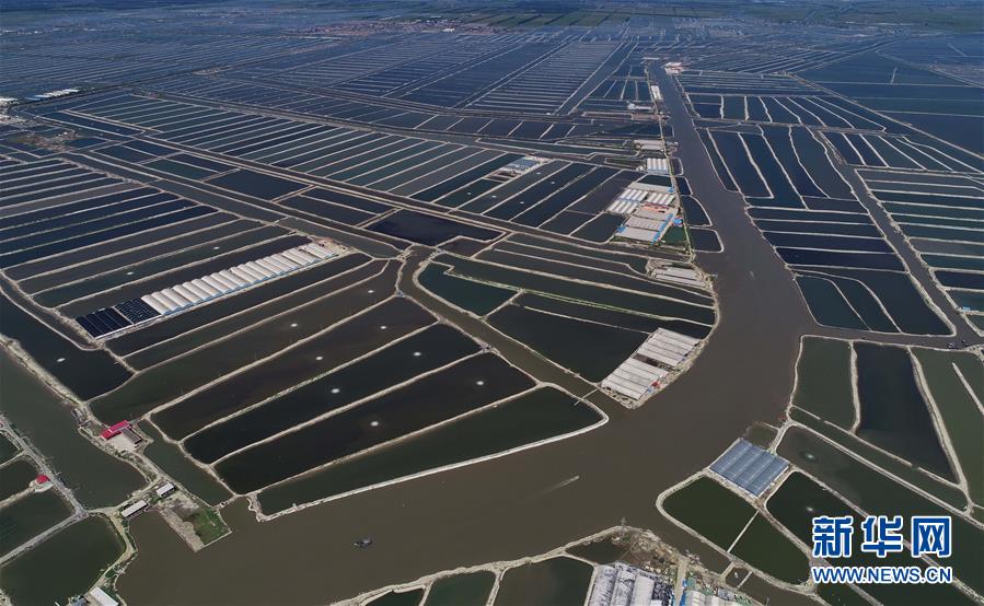 （經濟）（1）特色養殖富農家