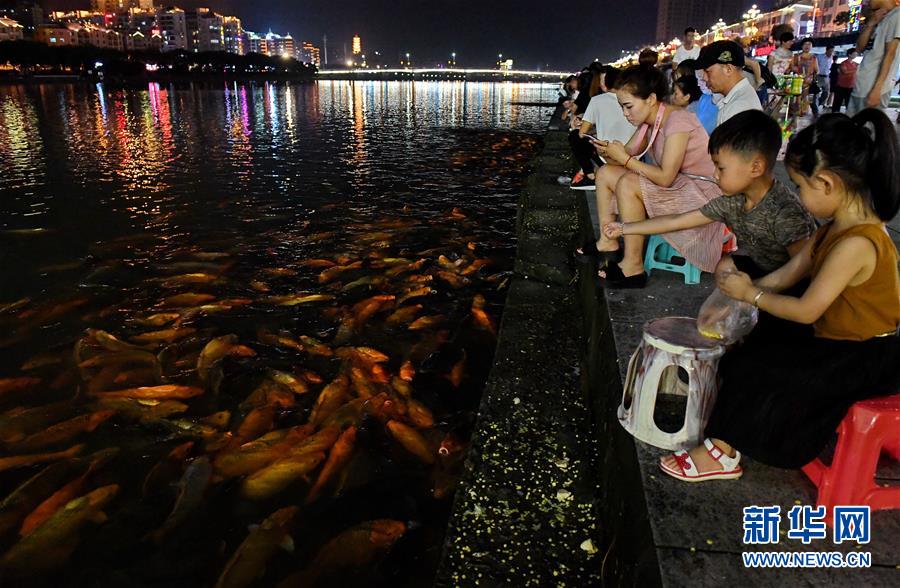 （環境）（4）福建福鼎：桐山溪畔人魚同樂